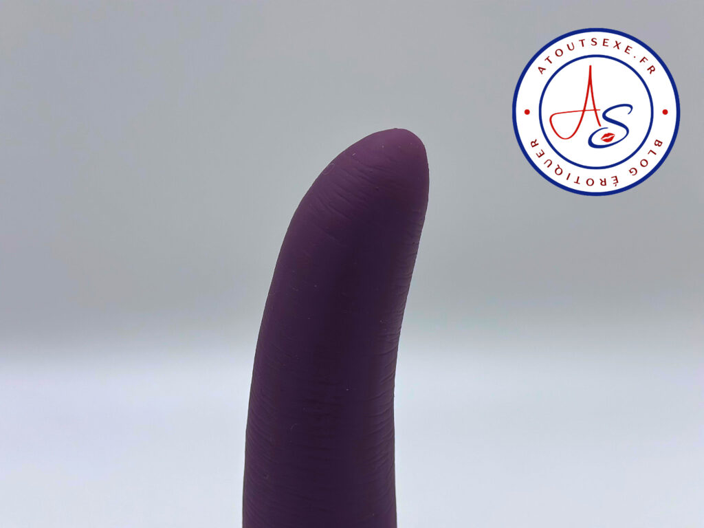 zoom sur le gland sexe animal