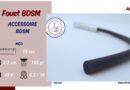 test fouet bdsm extreme