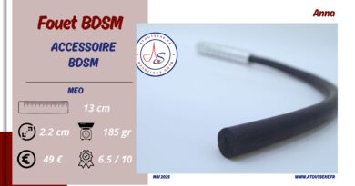 test fouet bdsm extreme