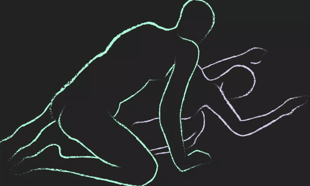 tortue kamasutra